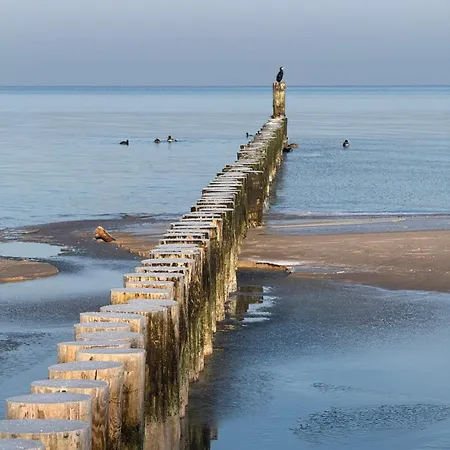 Sea House