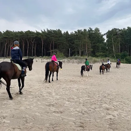 Sea House * Rogowo (Gryfice)