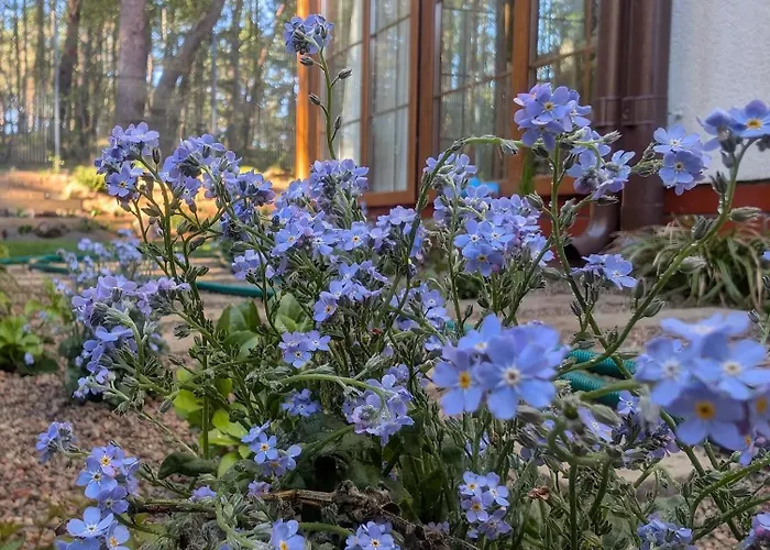 Sea House Feriehus *